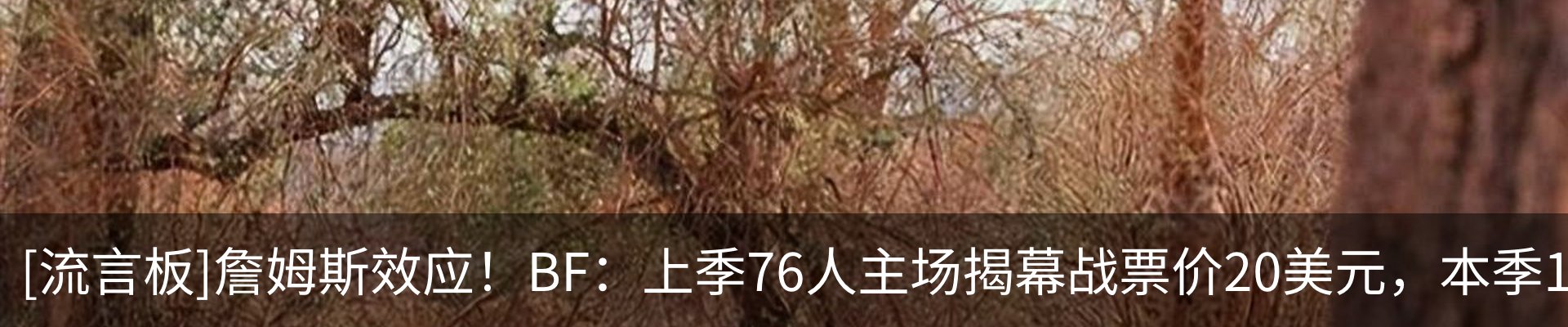 最新动态